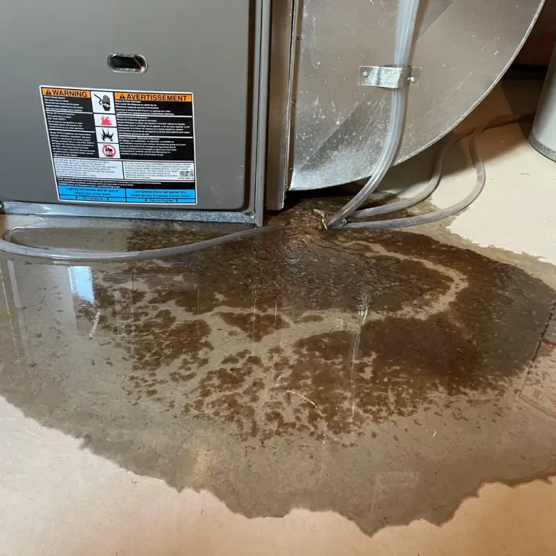 Appliance Leak Cleanup in West Richland, WA